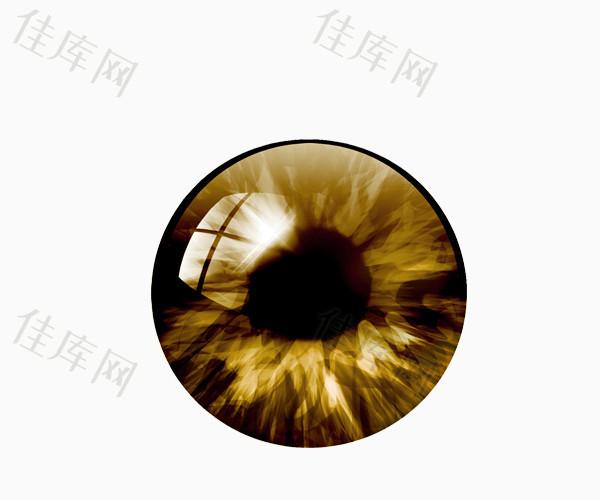 眼睛 圆形 棕色 发光     