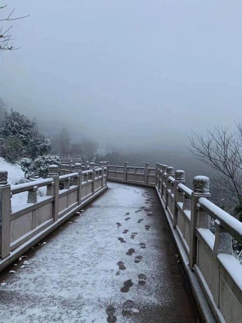 一大波杭州雪景图汇总好了!还想看雪,明后天可以去这些地方