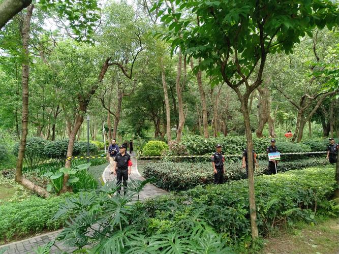 梅林-梅林山公园联合梅林街道办事处组织开展"森林实战消防演习"活动