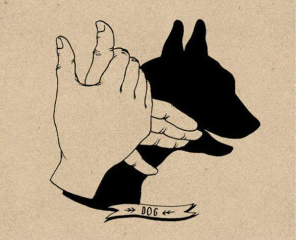 小时候的我们总是会尝试用手势做出各种影子来玩,现在