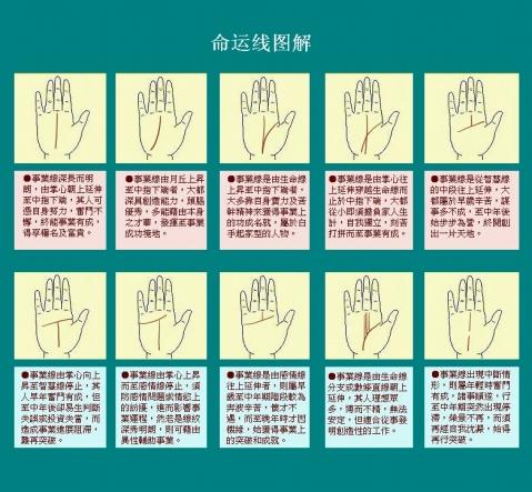 命运线,事业线,玉柱线图解