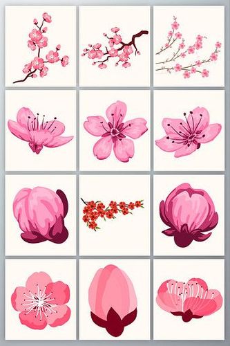矢量清新花瓣花朵花卉桃花梅花素材