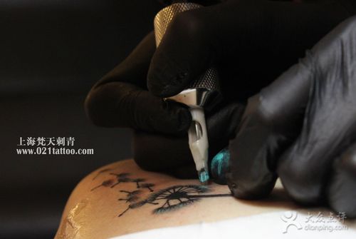 上海纹身 梵天刺青纹身工作室