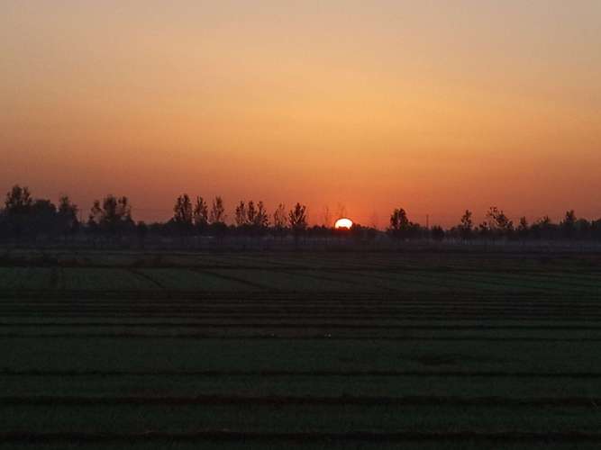 农村的早晨