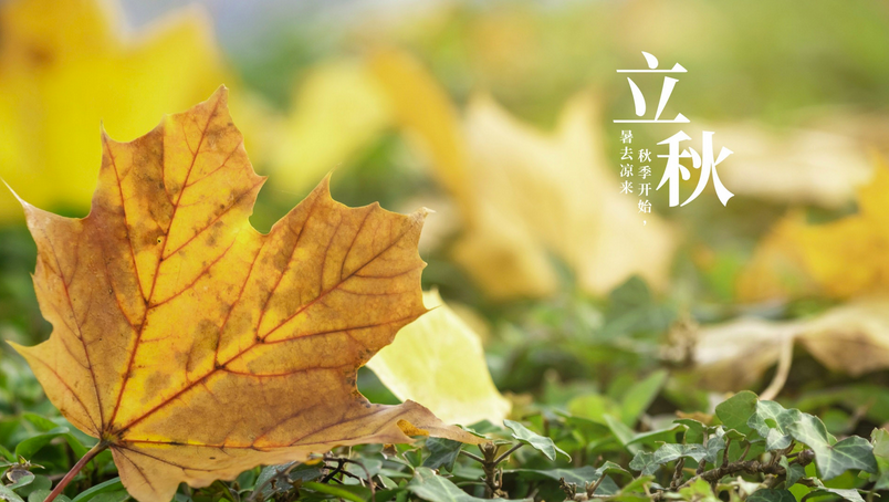 立秋将至老农说今年是弱火坐秋首阴湿到处暑是啥意思