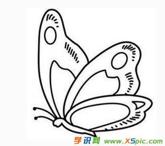 蝴蝶铅笔画的图片