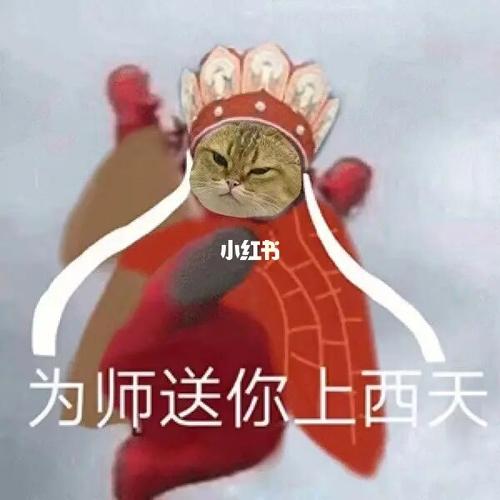 聊天必备万能沙雕表情包_沙雕_表情包_沙雕表情包_素材_表情包