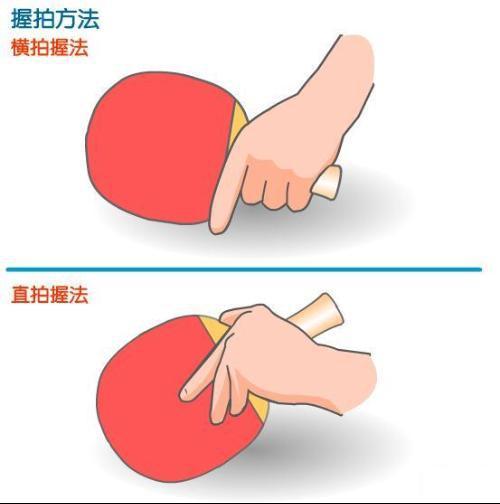 板材 高压缩七层木板 握拍方法 乒乓球握拍方法分直拍握法和横拍