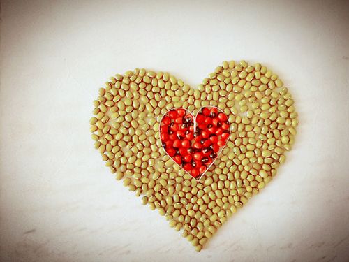 爱心豆豆