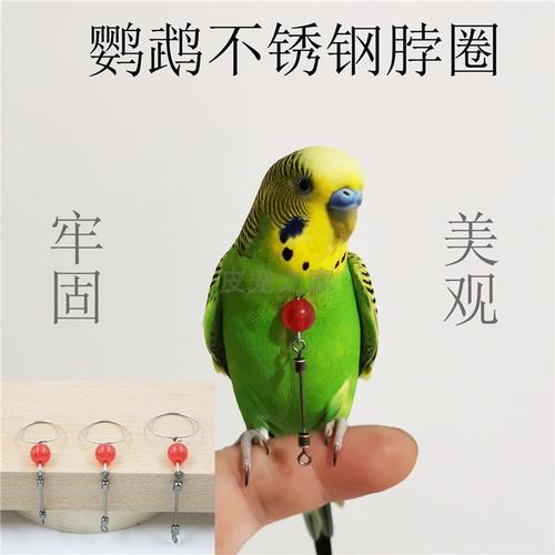 鹦鹉脖套脖圈栓鸟绳不锈钢鸟脖链脖套脖绳手养训鸟用品