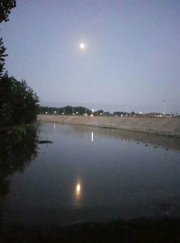 魅力东湖,定居家园——唐河县湖阳镇东湖社区剪影