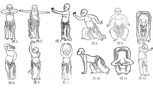 《洗髓经》 易筋经之内功心法 ,拿去练!