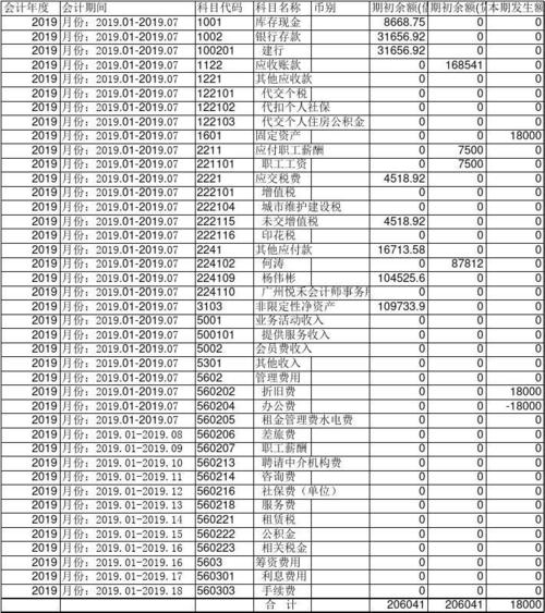 协会末级科目余额表201907