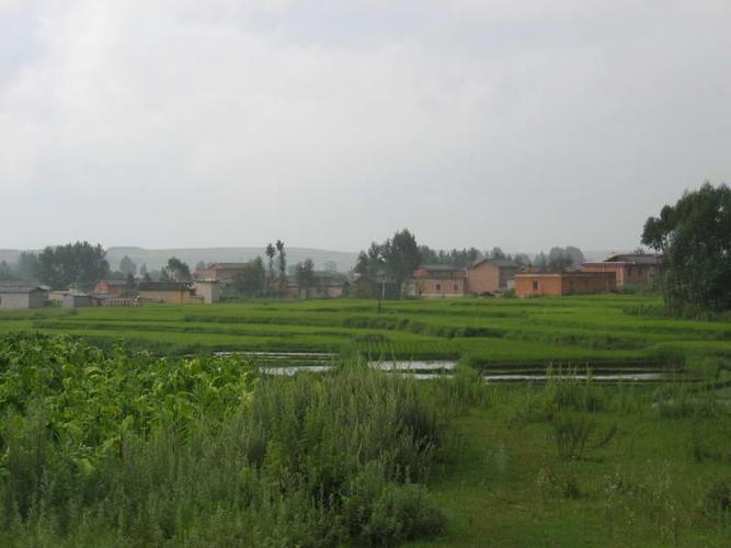 无浪村