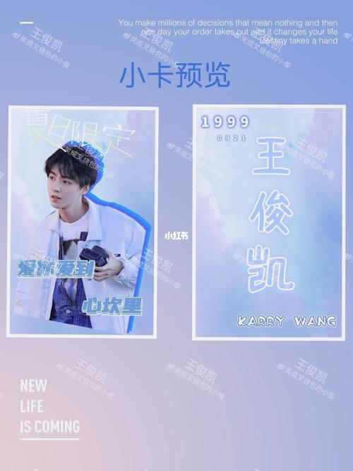 饭圈设计/ 小卡_设计_王俊凯_叉烧包_白菜_饭圈美工_娱乐_明星娱乐
