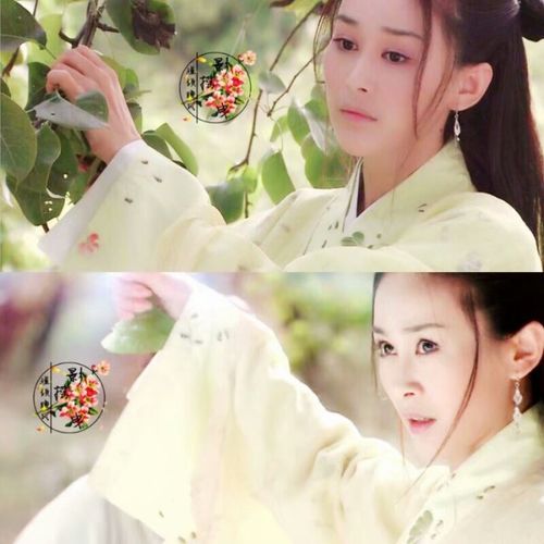 宝莲灯前传.杨婵三圣母.周扬