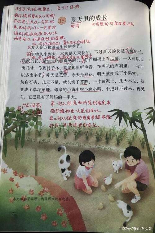 六年级语文上册第十五课《夏天里的成长》课文笔记
