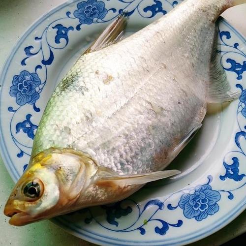 蒸鳊鱼,过程超详细1分钟就学会,招待客人上档次!