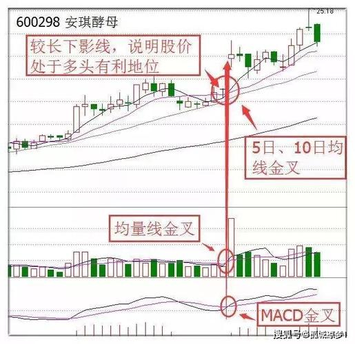 终于有人发声了:未来会涨10倍的股票会是哪个行业?