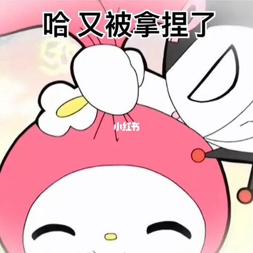 漂亮宝贝美乐蒂!_表情包_我最爱的表情包_素材_表情包