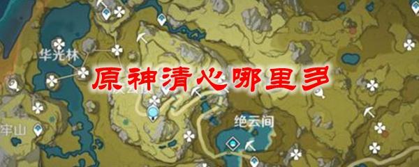原神清心哪里多