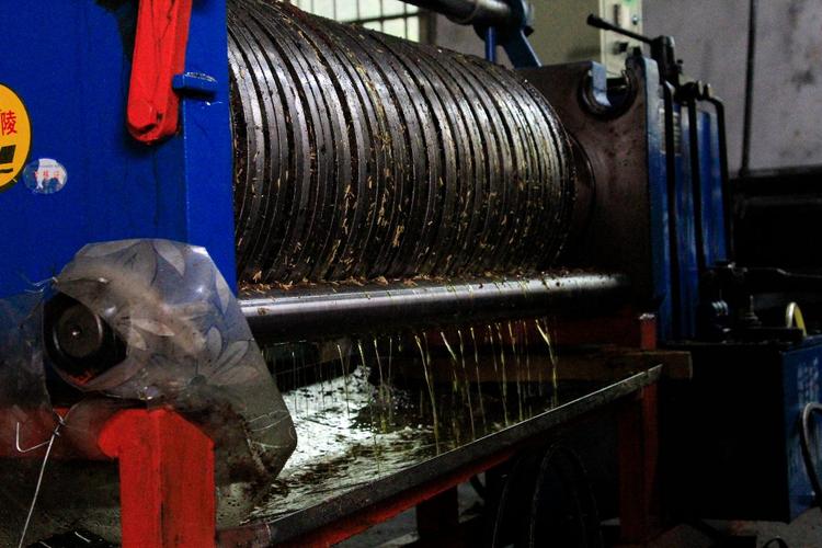 第五步:用压榨机榨出茶油.