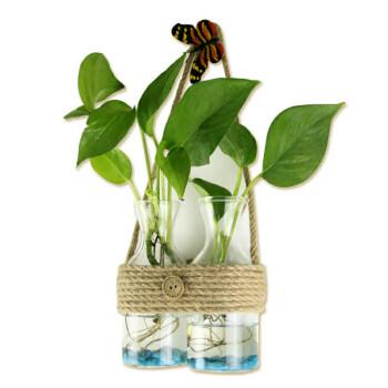 手工麻绳水培绿萝玻璃花瓶家居室内墙面装饰工艺吊挂件2连细口花瓶