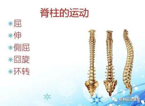 脊柱侧弯的运动康复矫正不是简单的健身运动