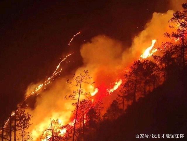 四川凉山州发生森林火灾,19名消防员亡