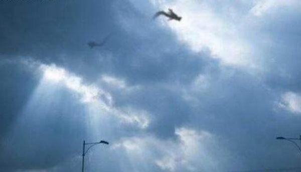 湖南暴雨天空惊现龙叼走人事件暴雨惹怒真龙生吃活人