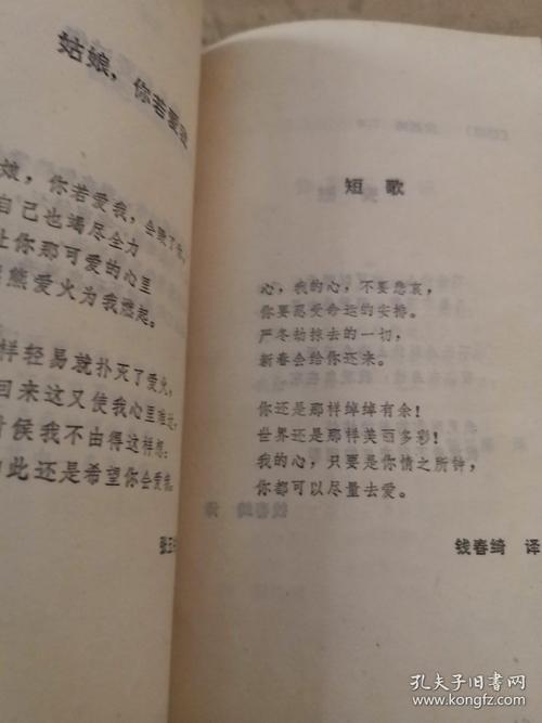 《十行内外国爱情诗一百首》j