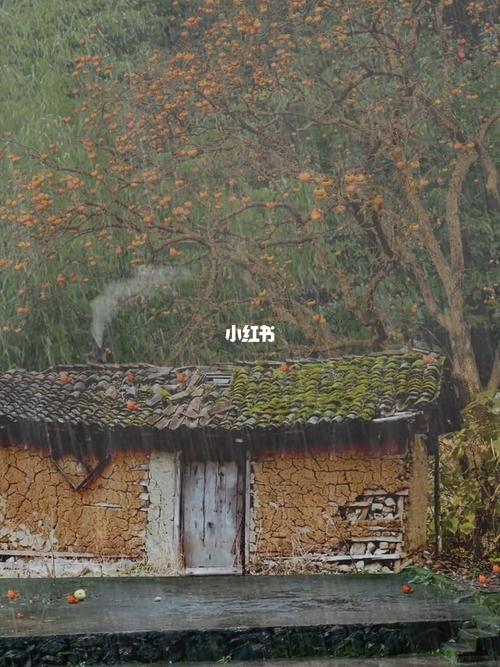 乡愁#下雨天#老房子#_风景_拍拍家乡风景_生活记录_日常片段_随手拍
