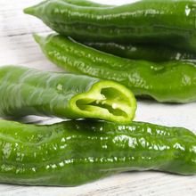 麻城辣椒批发供应新鲜青椒时令蔬菜薄皮椒绿色安全食品