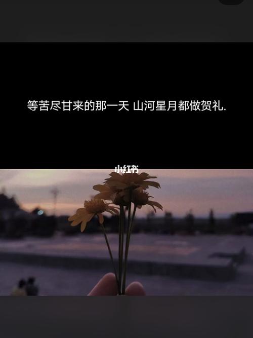 高质量的温柔文案短句_素材_文字素材