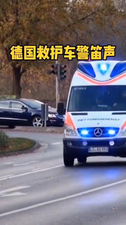 盘点世界各国救护车的声音