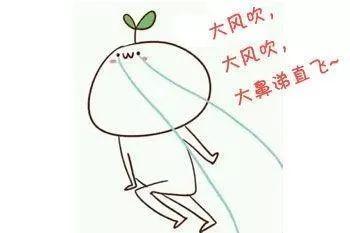即使瑟瑟发抖感受风中凌乱的洒脱还是有许多人到海边秋风萧瑟(欢迎文