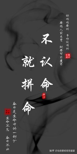 不认命就拼命文字炫酷壁纸