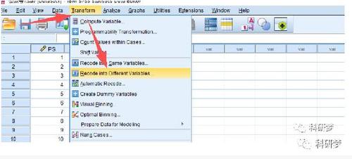 怎么使用spss制作频数表和频数分布图?