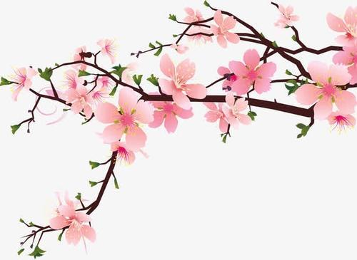 粉色桃花花枝手绘插画-粉色桃花花枝免抠素材免费下载_懒人图库