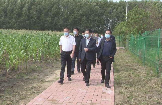 兰西县县委书记关海涛,县委副书记,代县长吴迪,副县长肖忠飞及县委办