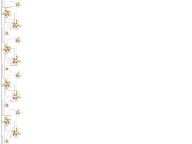 ppt背景图片37张,清新淡雅自然,舒适,包你满意的好东西!