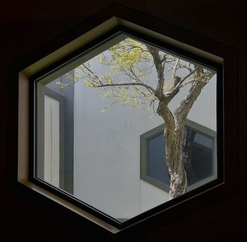 姑苏新宠(1): 苏州博物馆