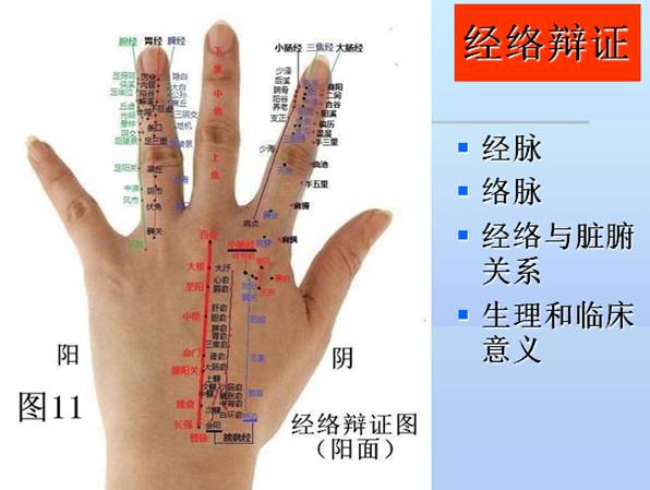 的阴阳五行理论,(脏腑辩证(部位辩证),表里辩证,平衡辩证,经络辩证
