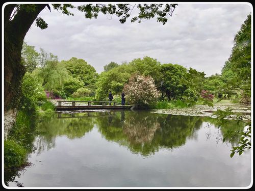 04.19杭州长桥公园,花港公园,花圃景区