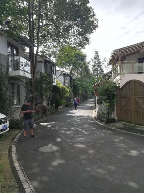 大邑县青霞镇幸福公社一游