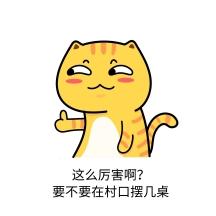 厉害表情包