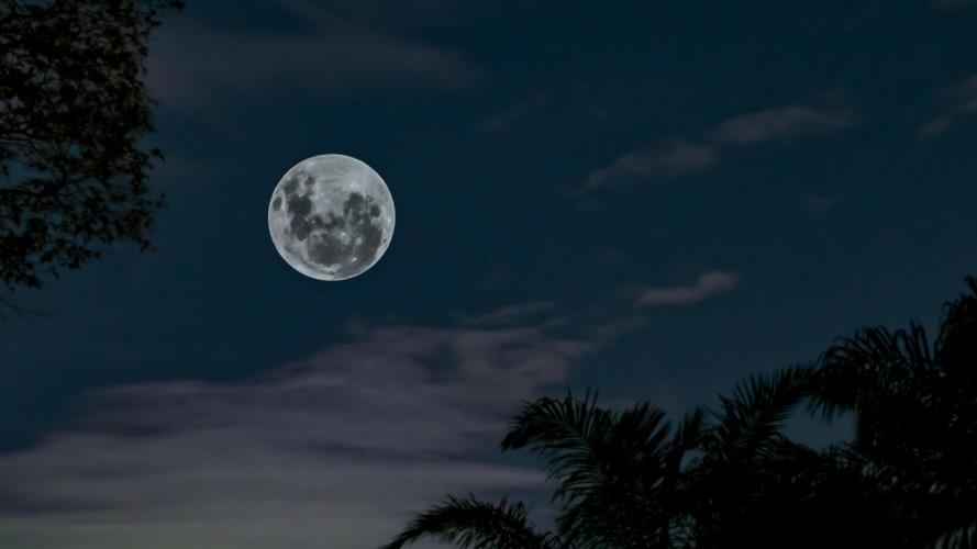 标签中秋节月亮唯美