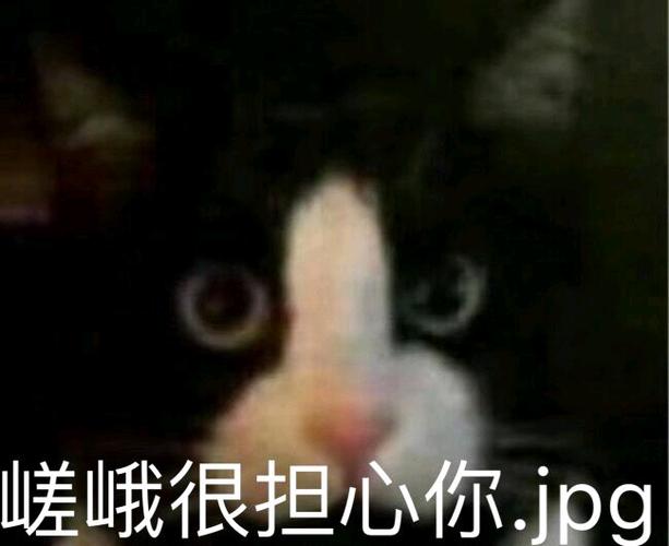 明日方舟沙雕表情包分享八十