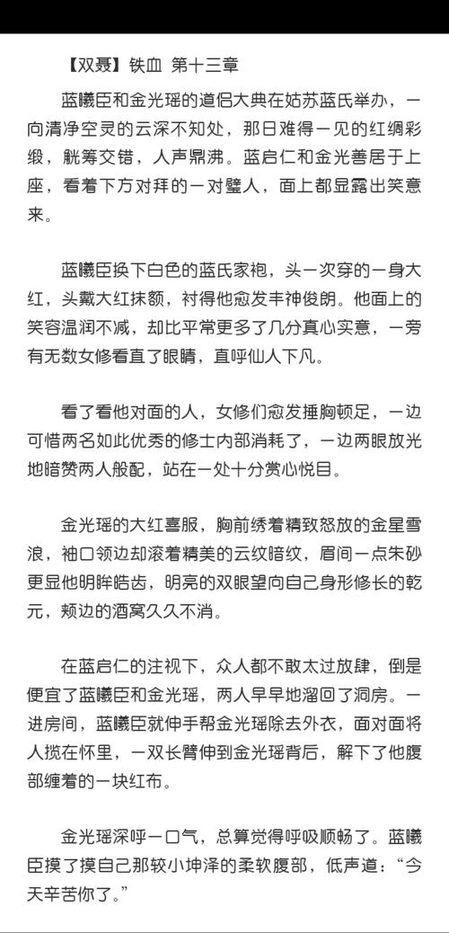 【双聂abo】铁血 第十三章.