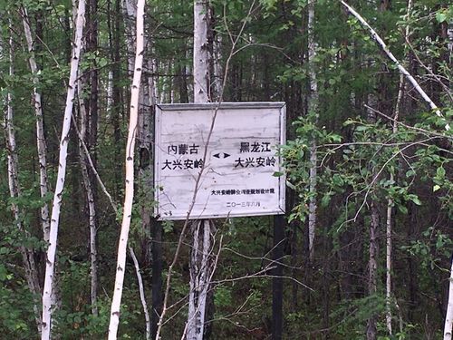 穿越呼伦贝尔原始森林无人区